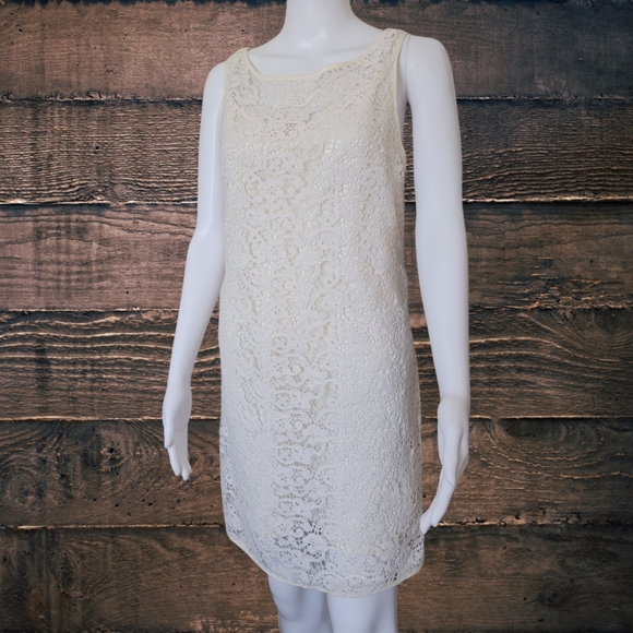 The Limited Crochet Lace Dress - Picture 1 of 14